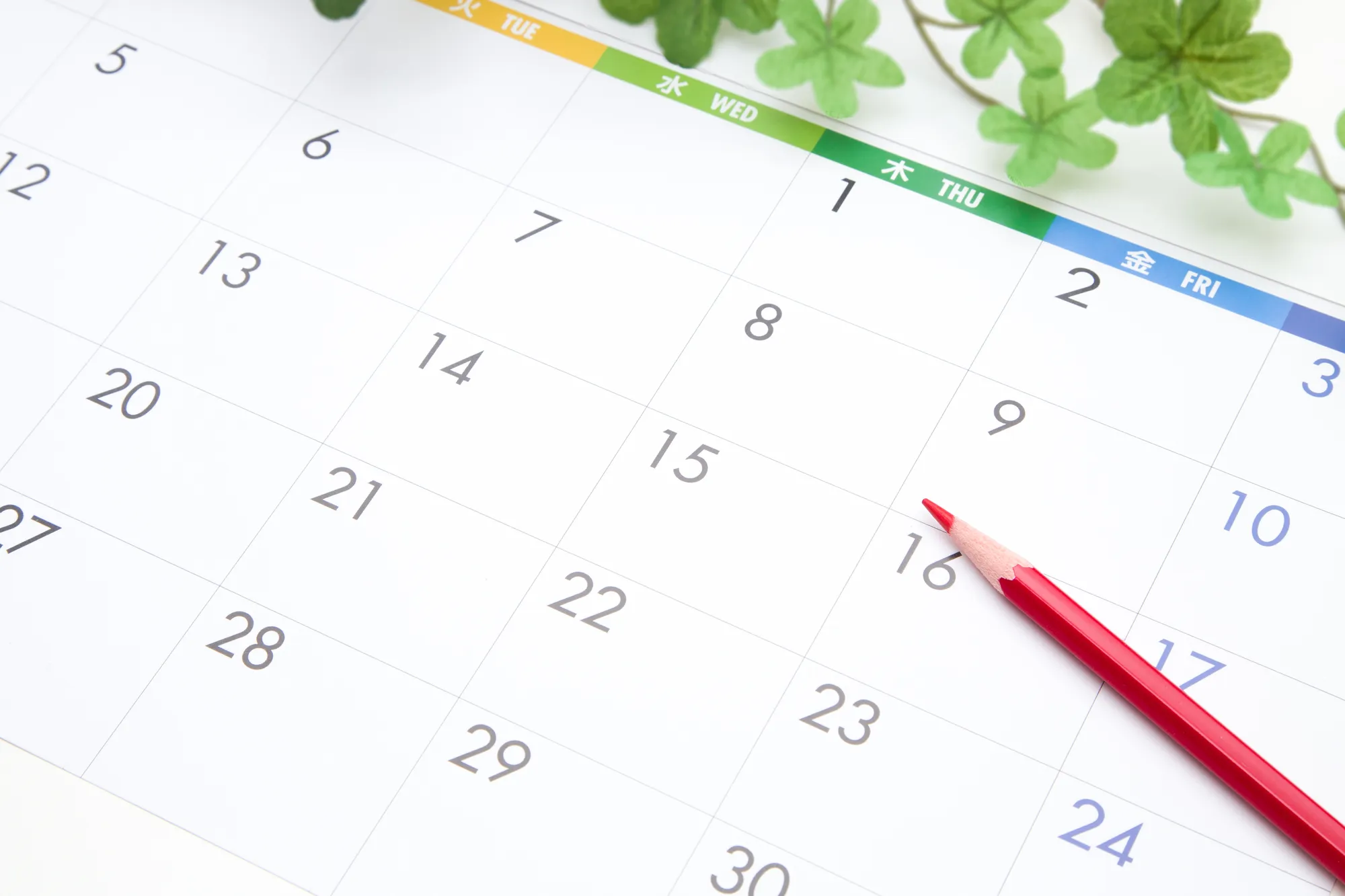 色彩検定の試験日程と受検のタイミング